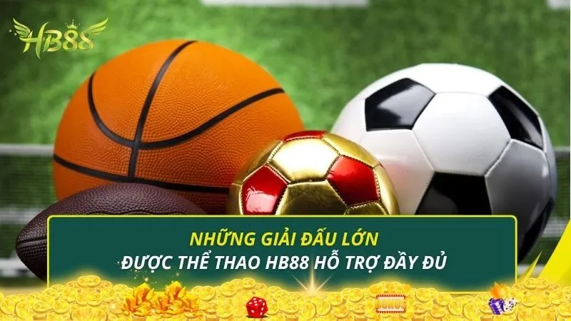 Những giải đấu lớn được thể thao HB88 hỗ trợ đầy đủ
